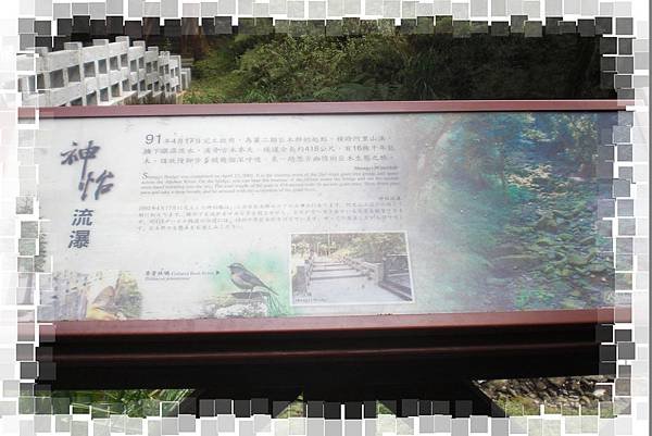 CIMG0717(001).jpg