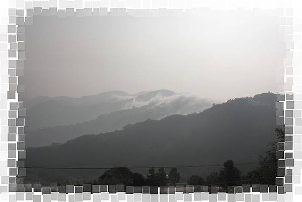 CIMG0775(001).jpg