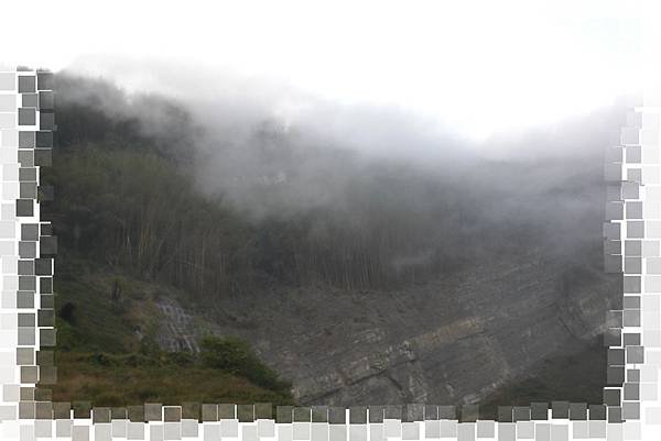 CIMG0781(001).jpg