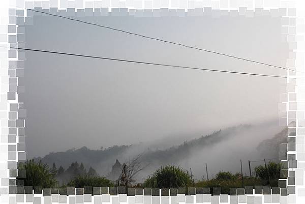 CIMG0795(001).jpg