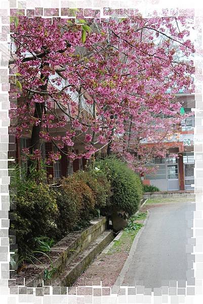 IMG_0437(001).jpg