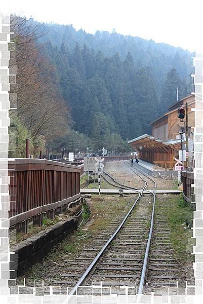 IMG_0523(001).jpg
