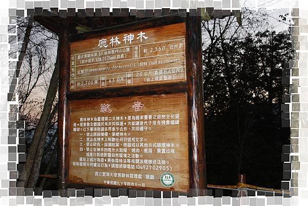 IMG_0638(001).jpg