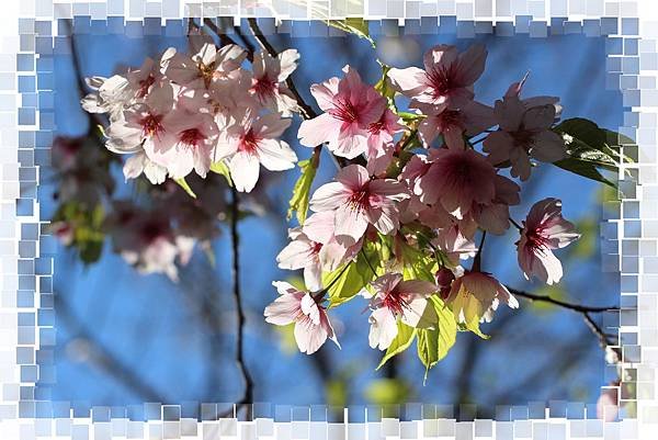 IMG_0734(001).jpg
