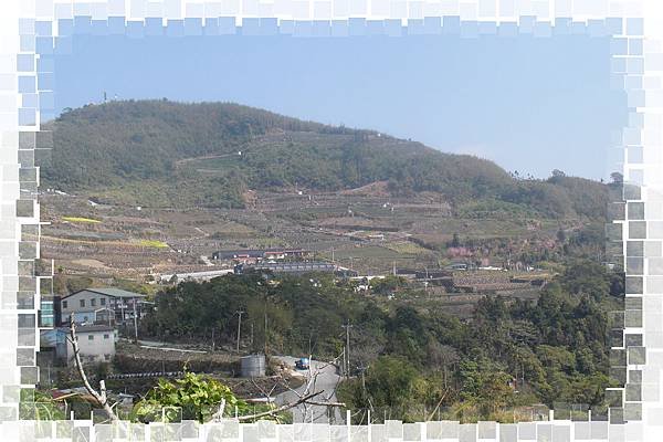 CIMG0595