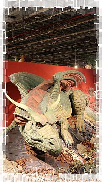 IMG_8891.jpg