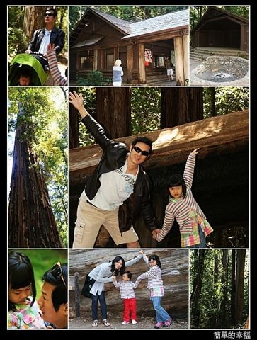 nEO_IMG_20100912redwood.jpg