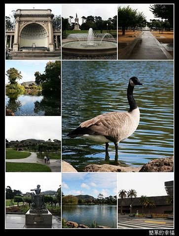 nEO_IMG_golden gate park.jpg