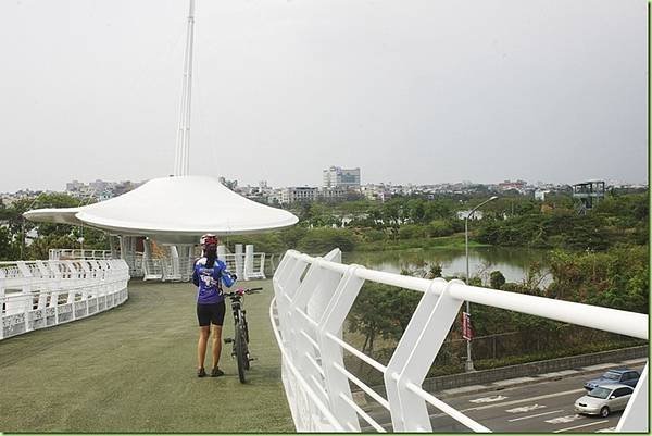 7原生植物園空中步道