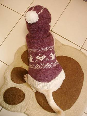 Dog Sweater with Hood