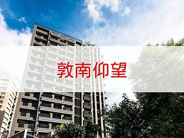 敦南仰望.jpg