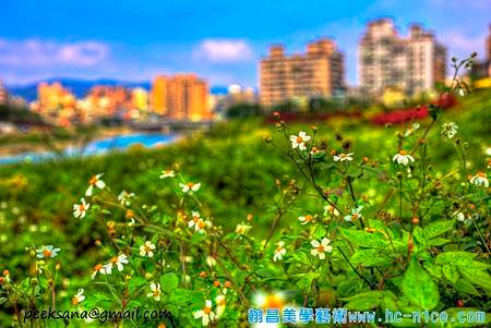 上河三峽水岸