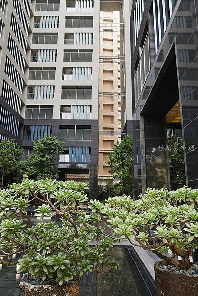 YS-20130515-04.jpg
