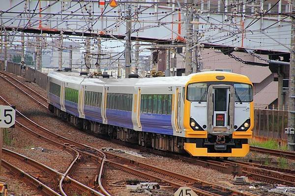 E257系500番台擔綱的房總特急&quot;わかしお&quot;(若潮)