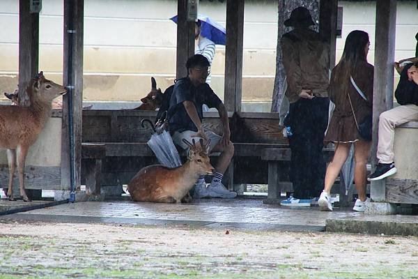 一起躲雨