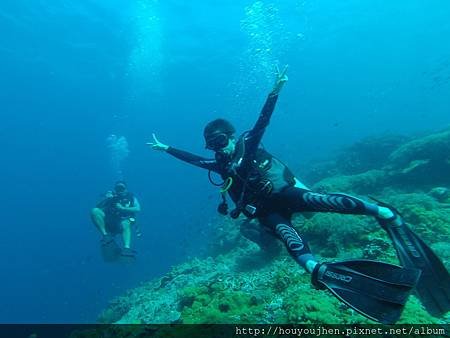 Apo island (221) first diving.JPG