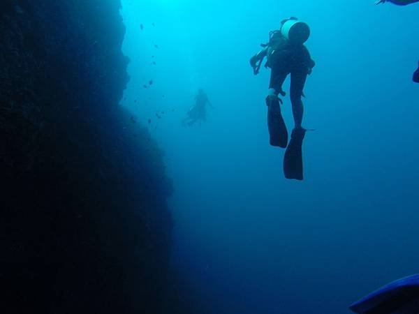 Apo island (1).JPG