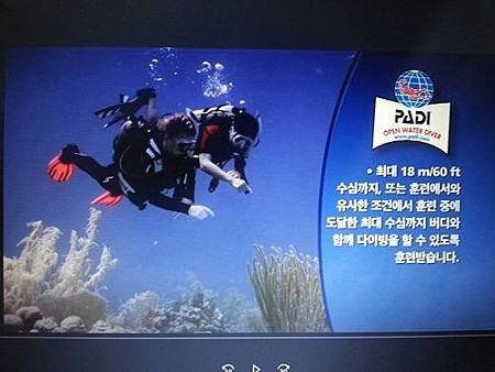 Diving teaching video -korean.jpg