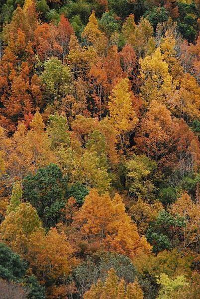 DSC_0157.JPG