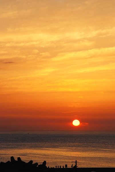 DSC_04771.jpg