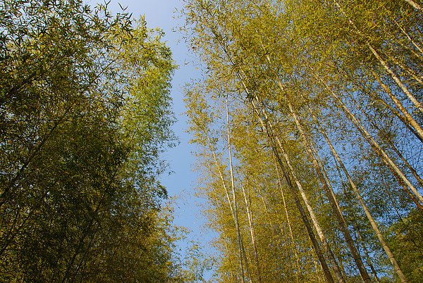 DSC_1524.JPG