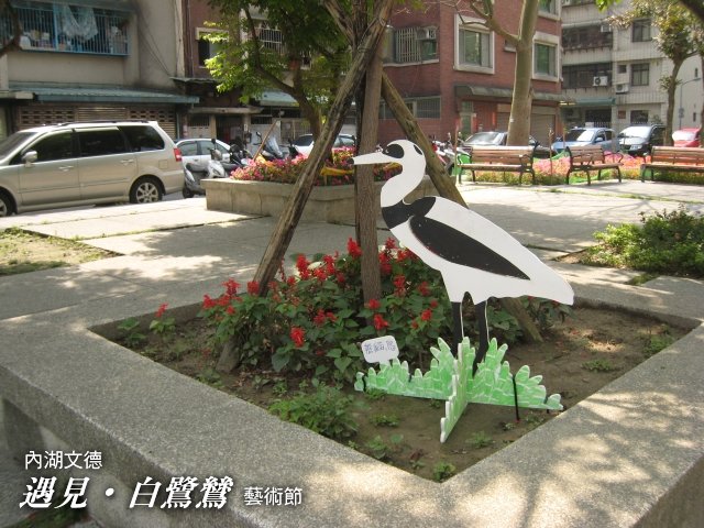 熊貓鳥.jpg