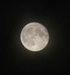 DSC_4982_2.JPG