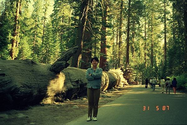 優勝美地國家公園 Yosemite National Park