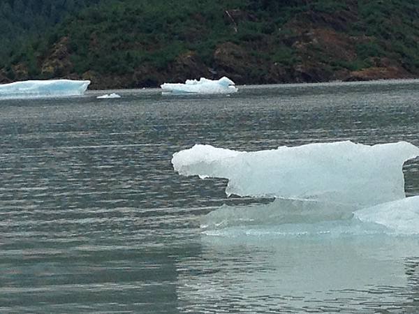 朱諾 Juneau 2016.05.24.〈阿拉斯加 郵輪行