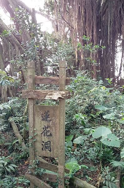 壽山公園秘境 蓮花洞、涼谷〈壽山自然國家公園遊誌〉