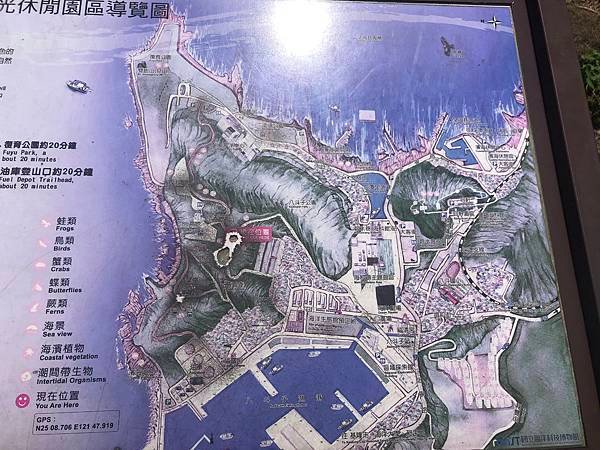 基隆八斗子 潮境公園、忘憂谷〈2020/06 東北角海岸輕遊