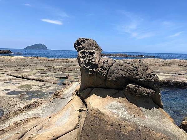 八斗子高地、大坪海岸〈2022/04/22 東北角海岸輕遊誌