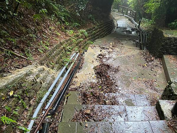 小百岳＃005 新北市觀音山 2021/07/23