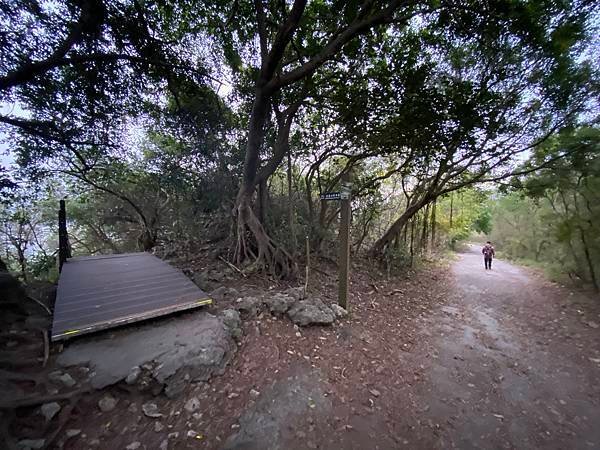 北壽山步道〈猩猩洞、北峰嶺、盤榕、樹伯休息區、八德園 202