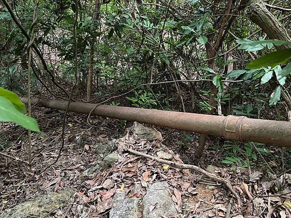 北壽山步道〈猩猩洞、北峰嶺、盤榕、樹伯休息區、八德園 202