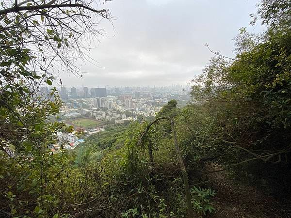 北壽山步道〈猩猩洞、北峰嶺、盤榕、樹伯休息區、八德園 202