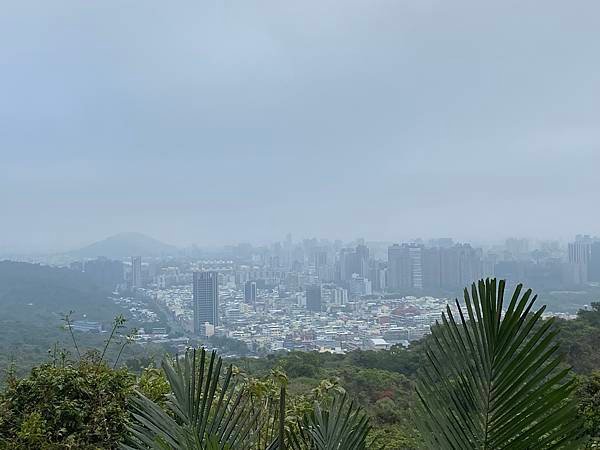 北壽山步道〈猩猩洞、北峰嶺、盤榕、樹伯休息區、八德園 202