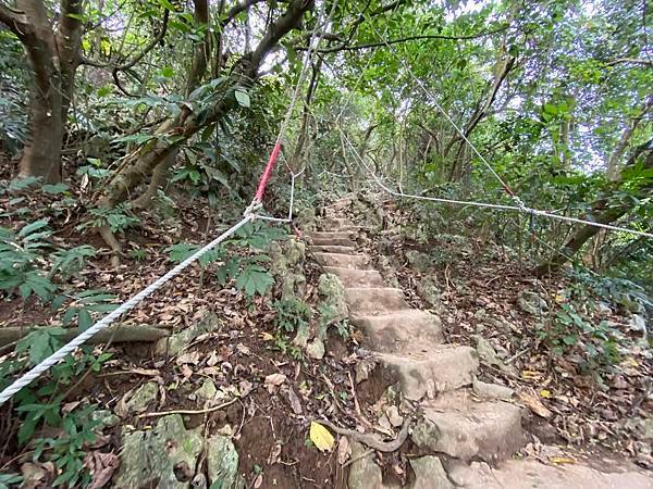 北壽山步道〈猩猩洞、北峰嶺、盤榕、樹伯休息區、八德園 202