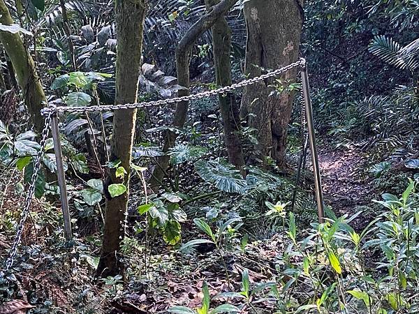 北壽山步道〈猩猩洞、北峰嶺、盤榕、樹伯休息區、八德園 202