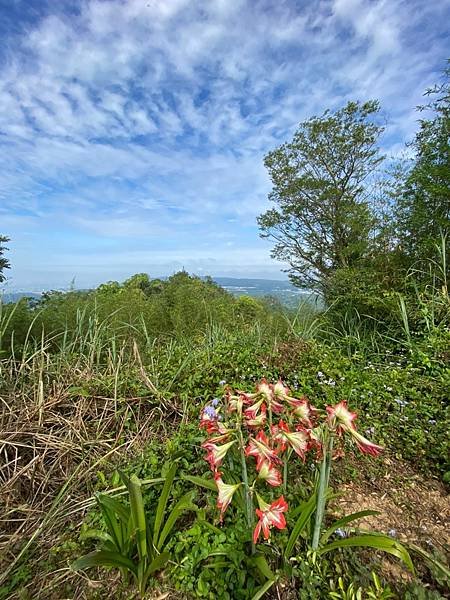 LINE_ALBUM_中部小百岳 關刀山、聚興山_220412_20.jpg