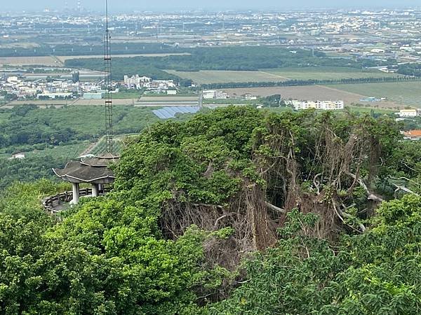 LINE_ALBUM_大小崗山步道_221010_10.jpg