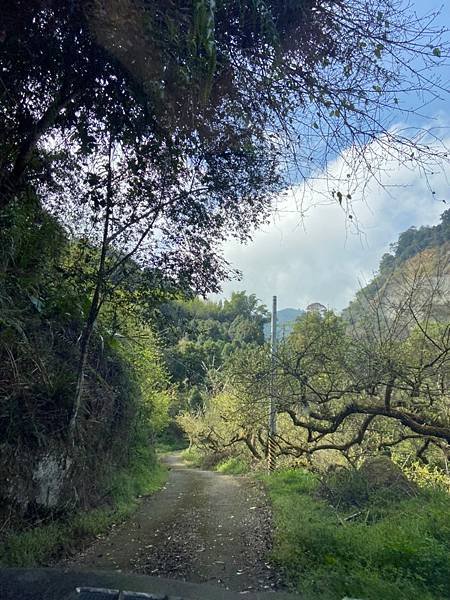 LINE_ALBUM_溪頭鳳凰山小百岳_230208_2.jpg