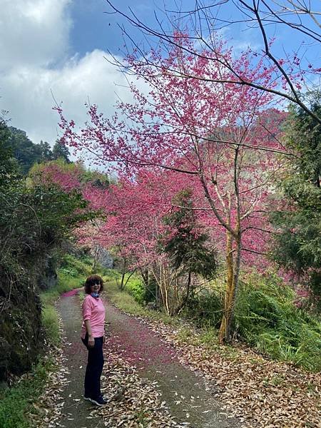 LINE_ALBUM_溪頭鳳凰山小百岳_230208_9.jpg