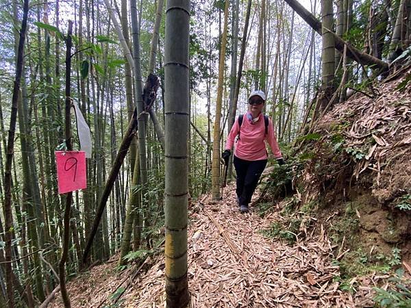 LINE_ALBUM_溪頭鳳凰山小百岳_230208_25.jpg