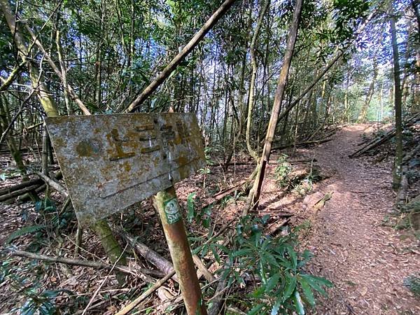 LINE_ALBUM_溪頭鳳凰山小百岳_230208_48.jpg