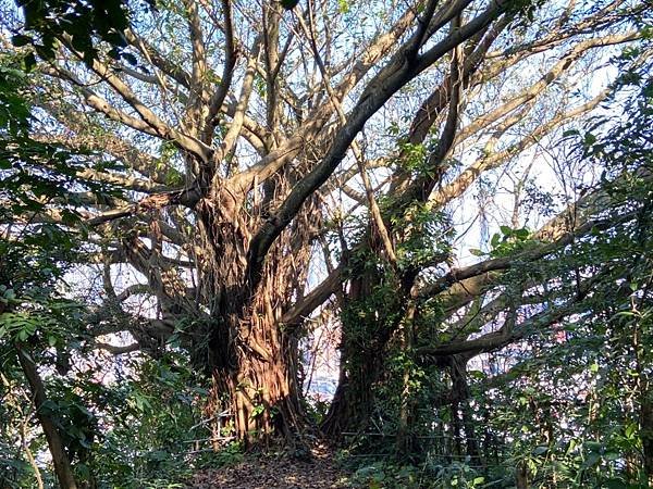 LINE_ALBUM_富陽、福州山、黎和公園_230213_60.jpg