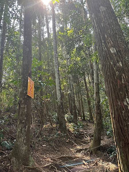 LINE_ALBUM_苗栗向天湖山2023_230309_11.jpg