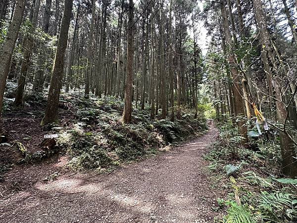 LINE_ALBUM_鵝公髻山20230411_230412_11.jpg