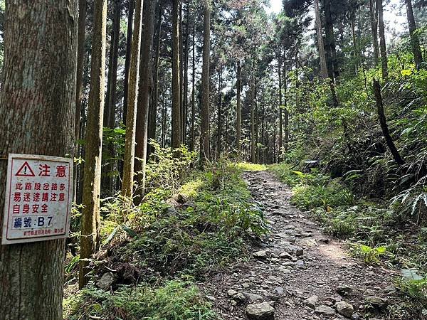 LINE_ALBUM_鵝公髻山20230411_230412_15.jpg