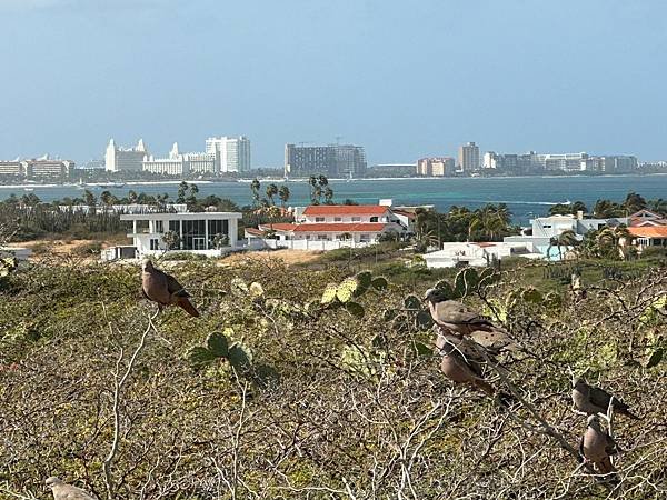 阿魯巴島 Aruba 2023/04/20〈中美洲巴拿馬運河